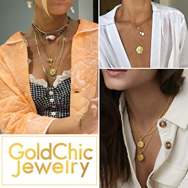 GOLDCHIC JEWELRY 중국어 조디악 동전 목걸이, 골드 라운드 디스크 수제 동물 펜던트 부적 행운의 매력 목걸이 여성/소녀, 생일 선물 (선물 상자 포함)