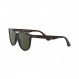 Ray-Ban Rb2185 Wayfarer Ii 라운드 선글라스