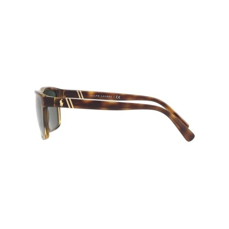 폴로 랄프 로렌 남성용 PH4133 직사각형 선글라스, 유광 투명 다크 하바나/그린, 59mm