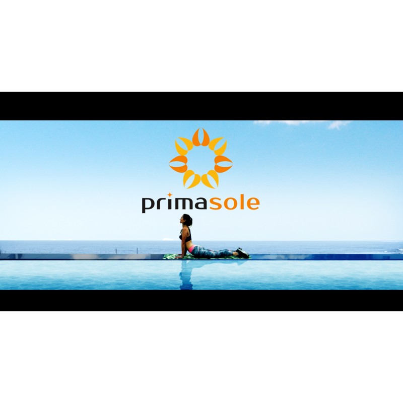 균형 안정성을 위한 Primasole 운동 공 피트니스 운동 요가 필라테스 홈 오피스 및 팽창기 펌프가 있는 체육관