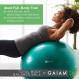 Gaiam 토탈 바디 밸런스 볼 키트 - 파열 방지 안정성 운동 요가볼, 에어 펌프, 운동 프로그램 포함