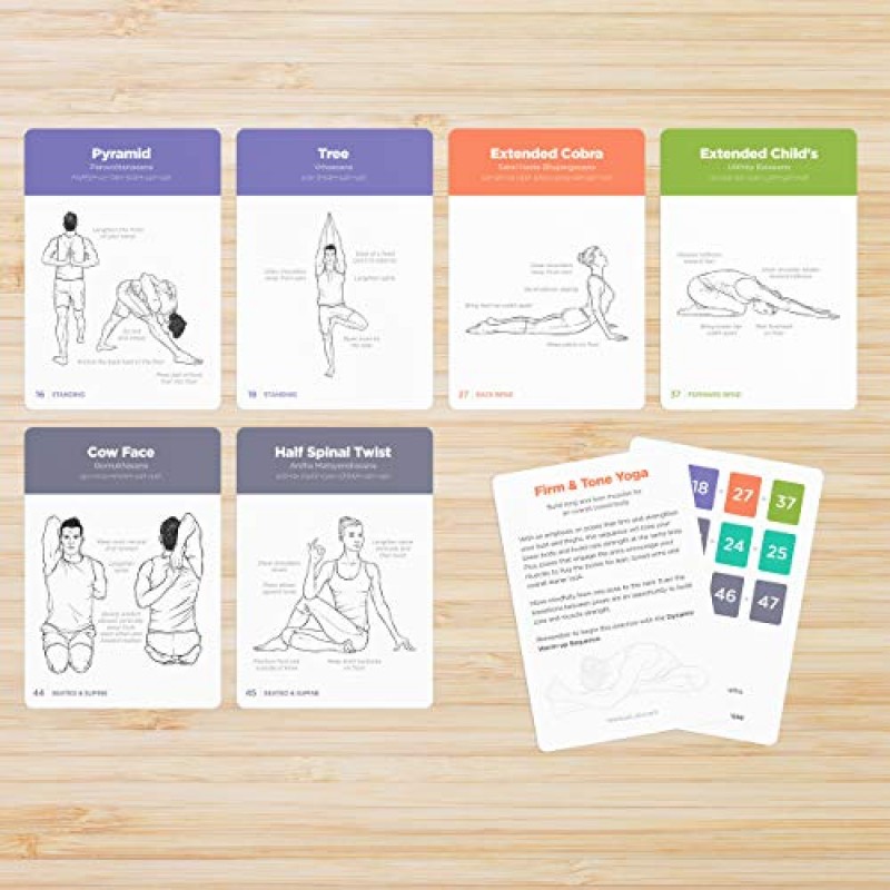 WorkoutLabs 운동 및 요가 카드 장비 없이도 집에서 운동 및 요가 연습을 위한 종합 피트니스 번들 · 프리미엄 플라스틱 플래시카드 덱