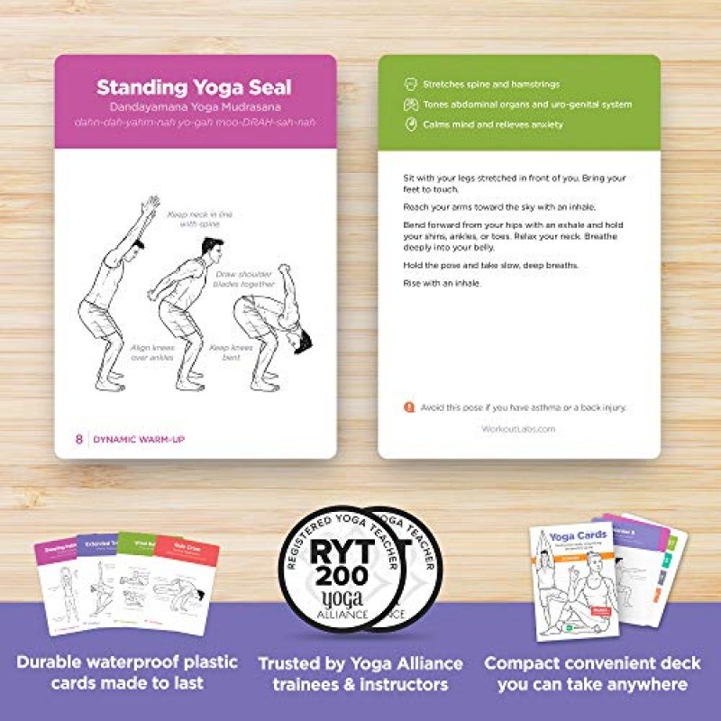 WorkoutLabs 운동 및 요가 카드 장비 없이도 집에서 운동 및 요가 연습을 위한 종합 피트니스 번들 · 프리미엄 플라스틱 플래시카드 덱