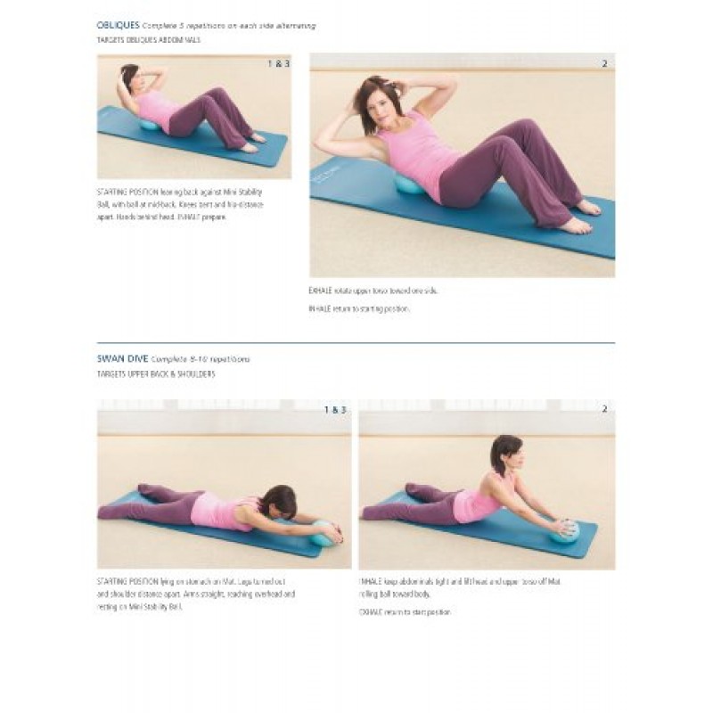 STOTT PILATES 미니 안정성 볼