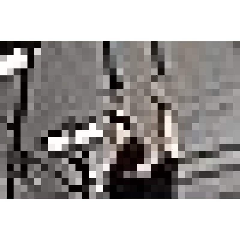크로스 트레이닝, 올림픽 리프팅, WOD 운동을 위한 Gymreapers 근력 손목 랩 - 남성과 여성을 위한 강력한 손목 지원 -| (블랙/블랙)