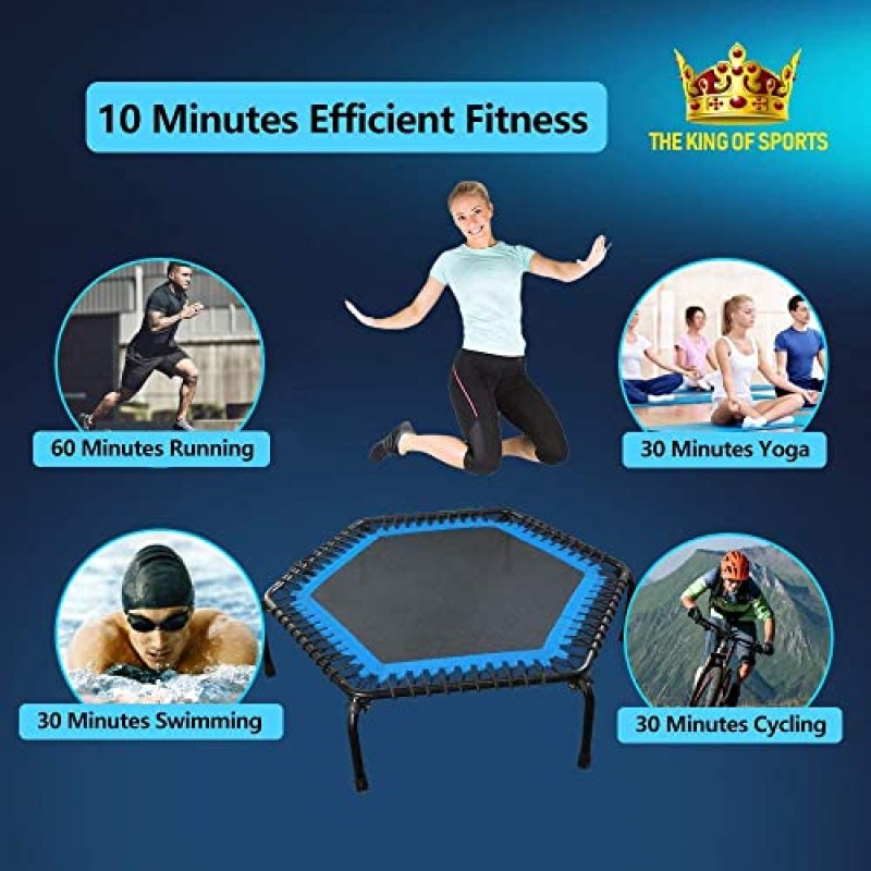 leikefitness 전문 체육관 운동 50