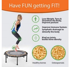 FIT Bounce PRO USA 번지 리바운더 | 조립 | 반접기 | 조용하고 아름답게 디자인된 성인과 어린이를 위한 프로 실내 미니 트램펄린 | DVD 및 온라인 운동, 보관 가방 및 바운스 카운터