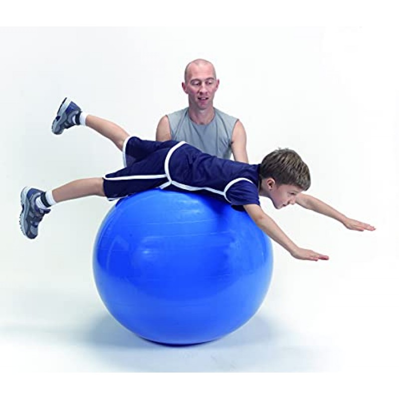 Gymnic Physio 운동 공, 블루 (95 cm)