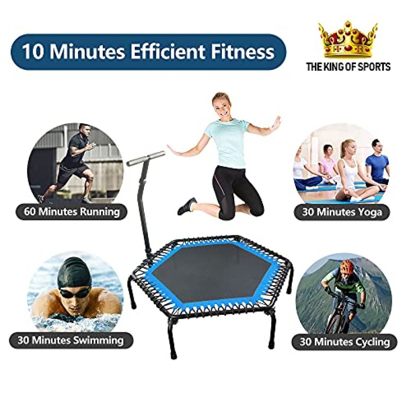 leikefitness 전문 체육관 운동 50