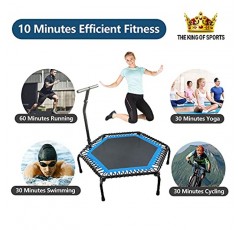 leikefitness 전문 체육관 운동 50