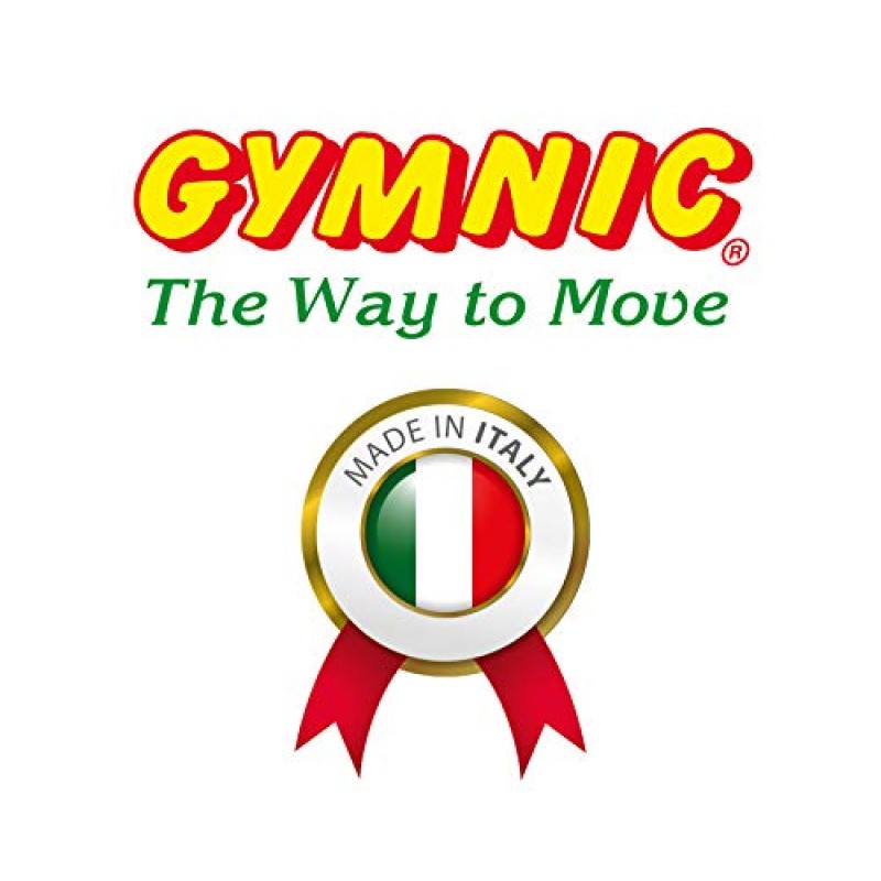 Gymnic Classic Plus 파열 방지 운동 공, 파란색(65cm)
