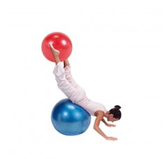 Gymnic Classic Plus 파열 방지 운동 공, 파란색(65cm)