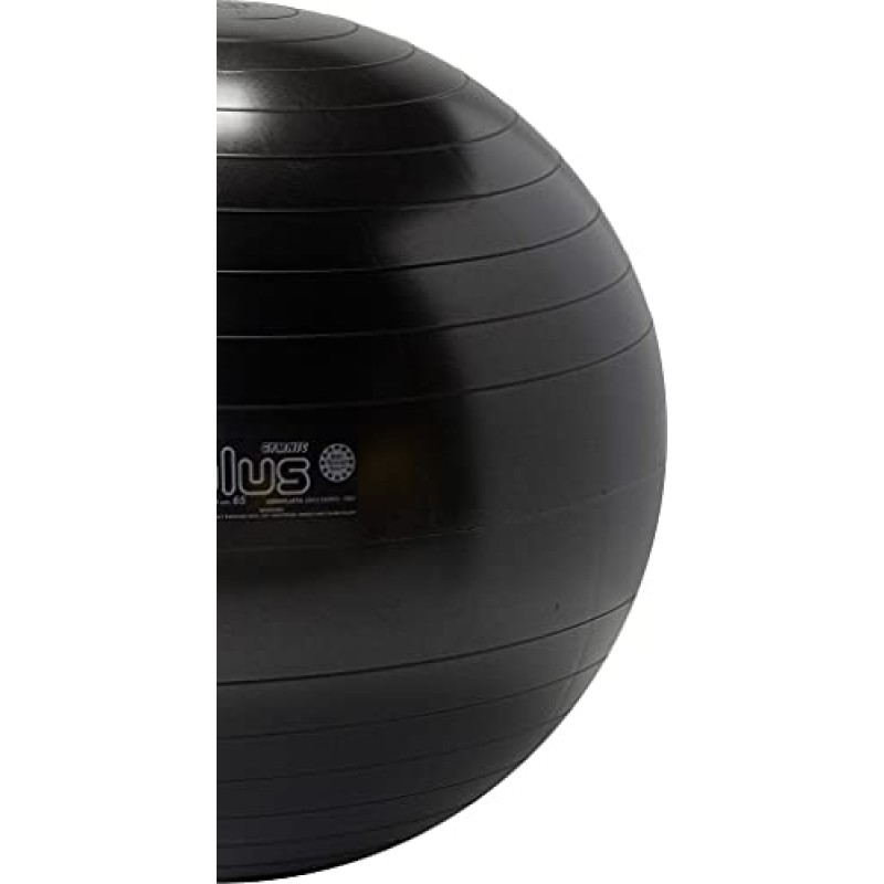 Gymnic Plus 파열 방지 운동공, 블랙(65cm)