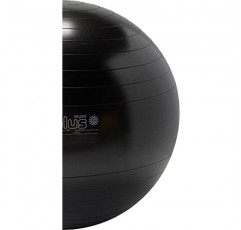Gymnic Plus 파열 방지 운동공, 블랙(65cm)