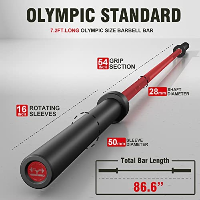 컬 바 올림픽 바벨 EZ 바 330LB/700LB/1000LB/1500LB 이두근 컬, 스쿼트, 역도용