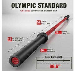 컬 바 올림픽 바벨 EZ 바 330LB/700LB/1000LB/1500LB 이두근 컬, 스쿼트, 역도용
