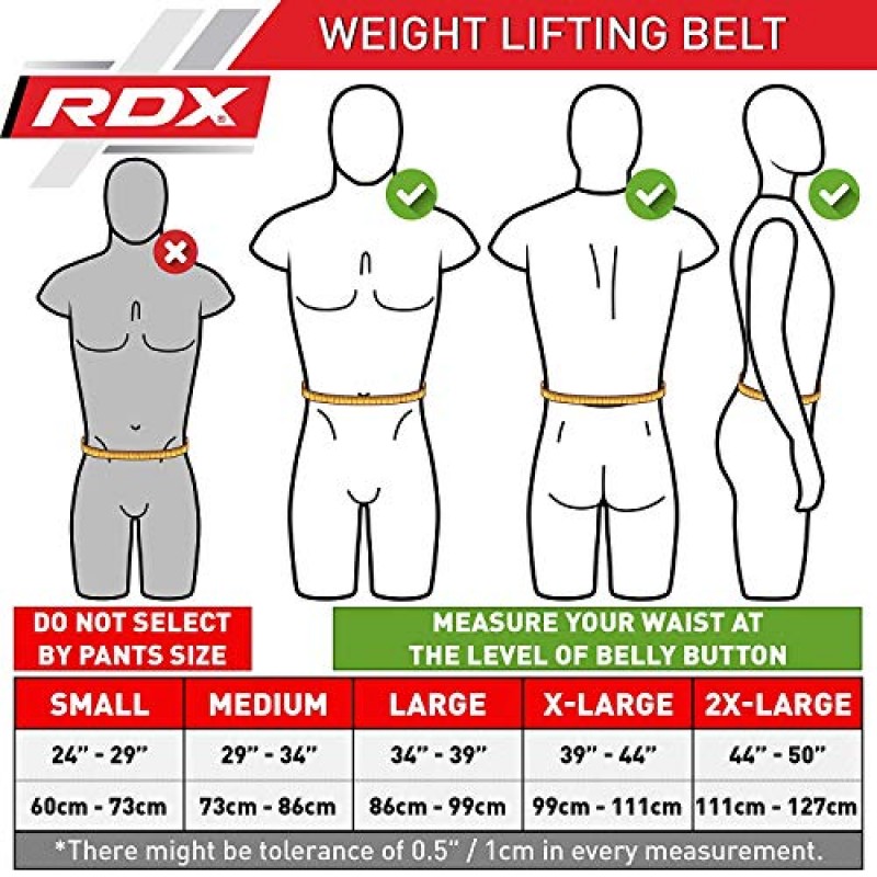RDX 역도 벨트 나파 가죽, 4인치 패딩 요추 지지대, 조절 가능한 구멍 11개, 보디빌딩 훈련, 파워리프팅 데드리프트 운동 스쿼트 운동, 홈 체육관 피트니스 장비