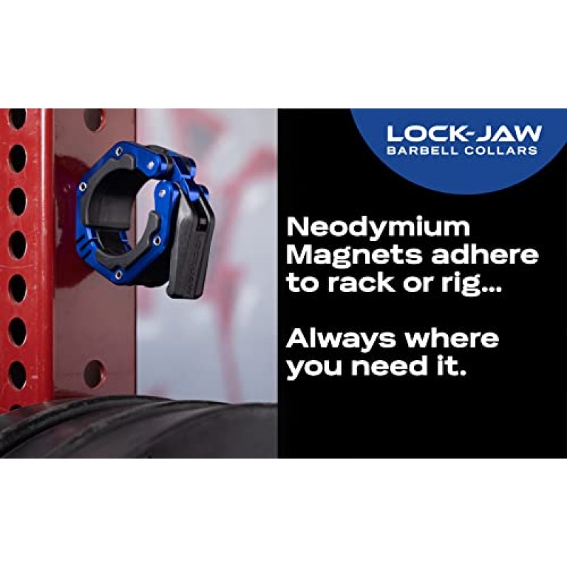 Lock-Jaw Flex 퀵 릴리스 알루미늄 바벨 칼라(자석 포함)(회색)