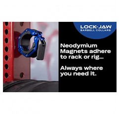 Lock-Jaw Flex 퀵 릴리스 알루미늄 바벨 칼라(자석 포함)(회색)