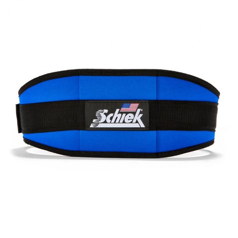 Schiek Sports, Inc. 6