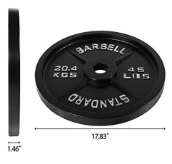 근력 훈련, 역도 및 크로스핏을 위한 Powergainz 올림픽 2인치 주철 플레이트 웨이트 플레이트