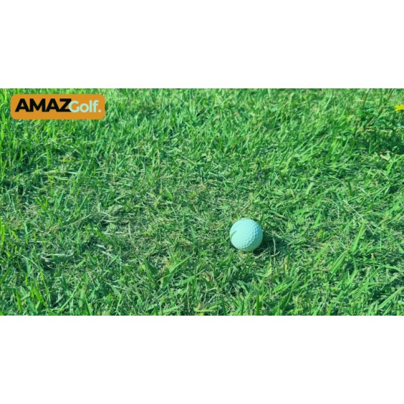 Amazgolf 골프 네트, 10Ft,15Ft,20Ft,25Ft 골프 연습 네트, 스포츠 연습 배리어 네트, 헤비 듀티 볼 네트 골프 타격 네트, DIY 볼 네트, 야구 네트 하키 네트 및 치핑 네트