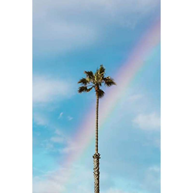 TAVI NOIR 카이 바레, 필라테스, 요가용 패션 크루 그립 양말