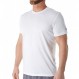 adidas CZ0131XL Clima TECH TEE 화이트/블랙 XL