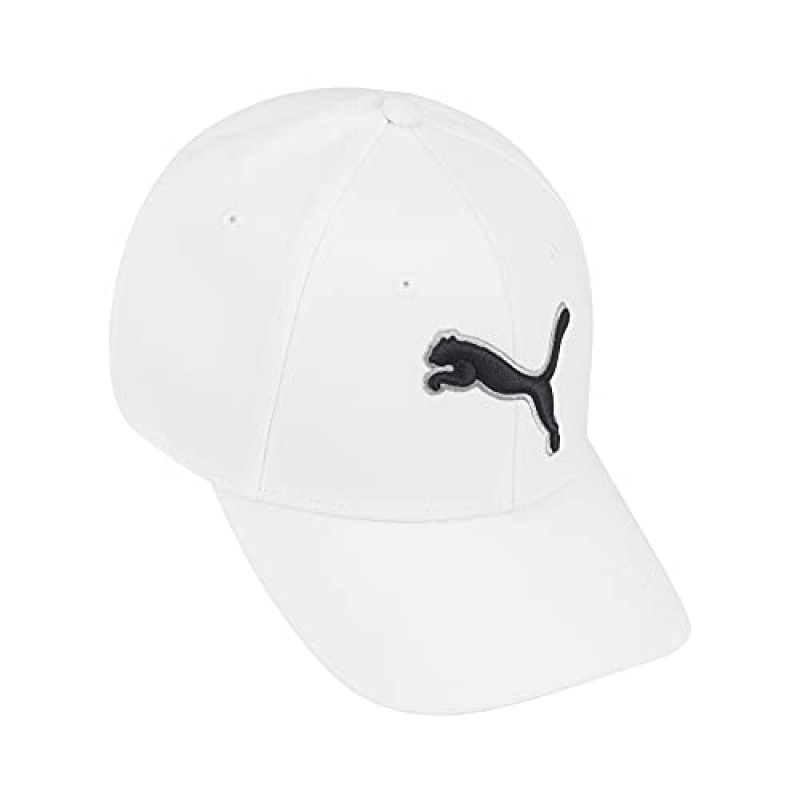 PUMA Evercat 딜런 스트레치 핏 캡