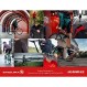 Endura Hummvee Plus 사이클링 장갑 II - 최고의 트레일 산악 자전거 MTB 장갑