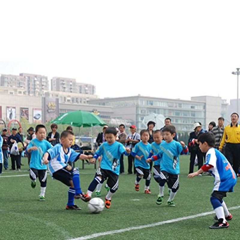 Odowalker 2 쌍 어린이 축구 신 가드 & 2 쌍 축구 축구 양말 천공 통기성 패드 보호대 5-15 년 동안 송아지 보호 장비 장비 어린이 소년 소녀 어린이 청소년