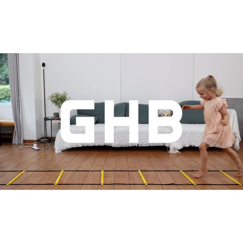 GHB 프로 민첩성 사다리 민첩성 훈련 사다리 속도 12단 20피트 휴대용 가방 포함