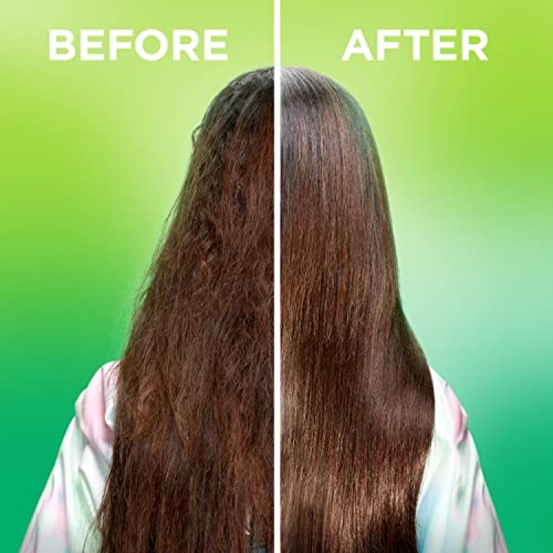 Garnier Hair Care Fructis 매끄러운 앤 샤인 모로칸 오일 트리트먼트, 3.75온스, 2팩