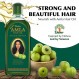 Dabur Amla 헤어 오일 500ml, 100% 천연 Amla 오일, 건강한 모발 성장을 촉진하고 두피에 영양을 공급하며 모발에 수분을 공급합니다. 성인을 위한 정통 프리미엄 품질 인디언 구스베리 헤어 오일