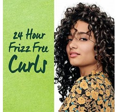 Garnier Hair Care Fructis Triple Nutrition Curl Nourish 샴푸(포장은 다를 수 있음), 12.5액, 2개