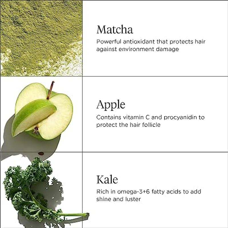 Briogeo Superfoods Apple Matcha Kale 보충 샴푸 컨디셔너 세트, 칙칙하고 건조한 모발을 보충하고 건강한 모발과 두피 지원, 비건, 팔라트 및 파라벤 무함유