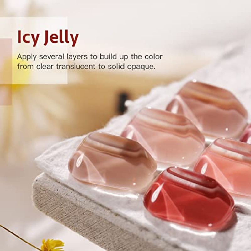 GAOY Icy Jelly 젤 네일 폴리시 레드 핑크 누드 젤 폴리시 키트 UV LED 담그기 폴란드어 홈 DIY 매니큐어 네일 살롱 바니시를 포함한 6 가지 색상 세트