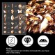 2120Pcs 샴페인 골드 크리스탈 네일 라인 석 라운드 비즈 멀티 모양 크기 네일에 대 한 Flatback 유리 보석 돌 DIY 공예 의류 신발 쥬얼리