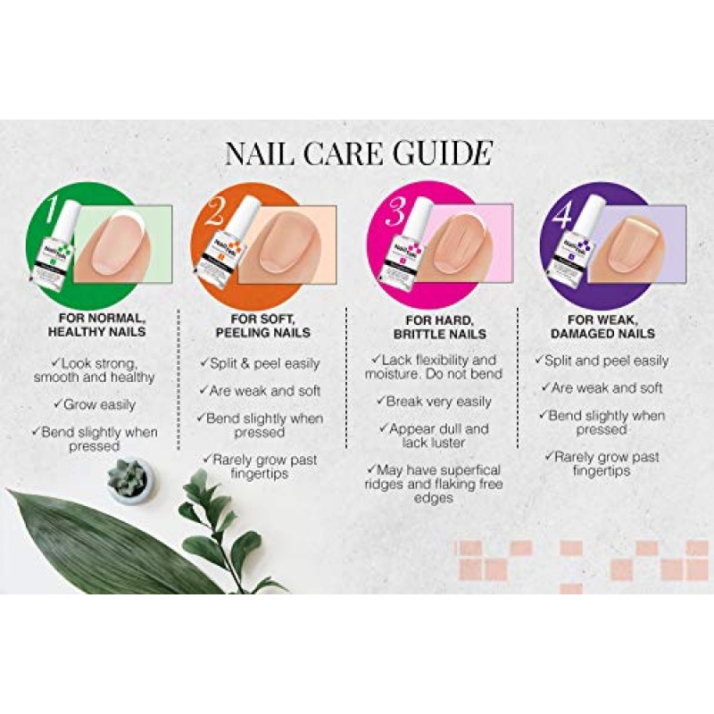 Nail Tek 인텐시브 테라피 2 - 약하고 얇고 부드러우며 벗겨지는 손톱용, 단백질 포뮬러 함유, 손톱 강화, 두꺼워짐, 힘과 유연성 촉진, 0.5온스 - 1팩