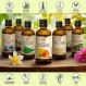 칼렌둘라 오일 3.4 Fl Oz (100ml) - 금잔화 오피시날리스 꽃 추출물 - 주입 - 아몬드 오일 베이스 - 100% 순수 & 천연 - 메리골드 오일 - 피부, 손톱, 머리카락, 얼굴, 신체에 효능 - 짧은 수명