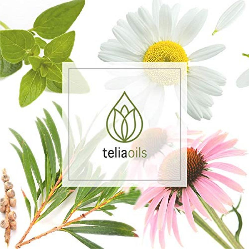 Teliaoils 오레가노 건강한 손톱 시너지 오일 블렌드 - 발톱 상태, 변색, 노란색 부서지기 쉬운 손톱을 위한 최대 강도 복구 오일 - 두껍고 강한 손톱을 위한 천연 솔루션 - 0.33 온스