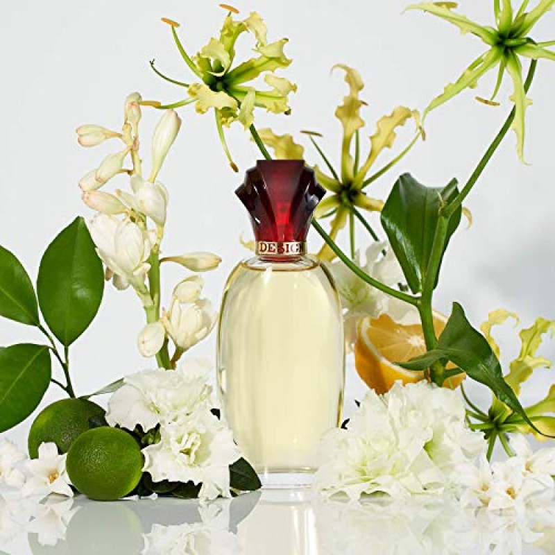 폴 세바스찬 여성용 향수, 낮이나 밤이나 부드러운 꽃 향기, 디자인, 3.4 Fl Oz