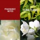 폴 세바스찬 여성용 향수, 낮이나 밤이나 부드러운 꽃 향기, 디자인, 3.4 Fl Oz