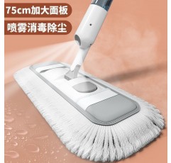 대형 물 스프레이 핸드 워시 걸레 2021 새로운 자동 가정용 원 걸레 게으른 스프레이 먼지 푸시 플랫 걸레