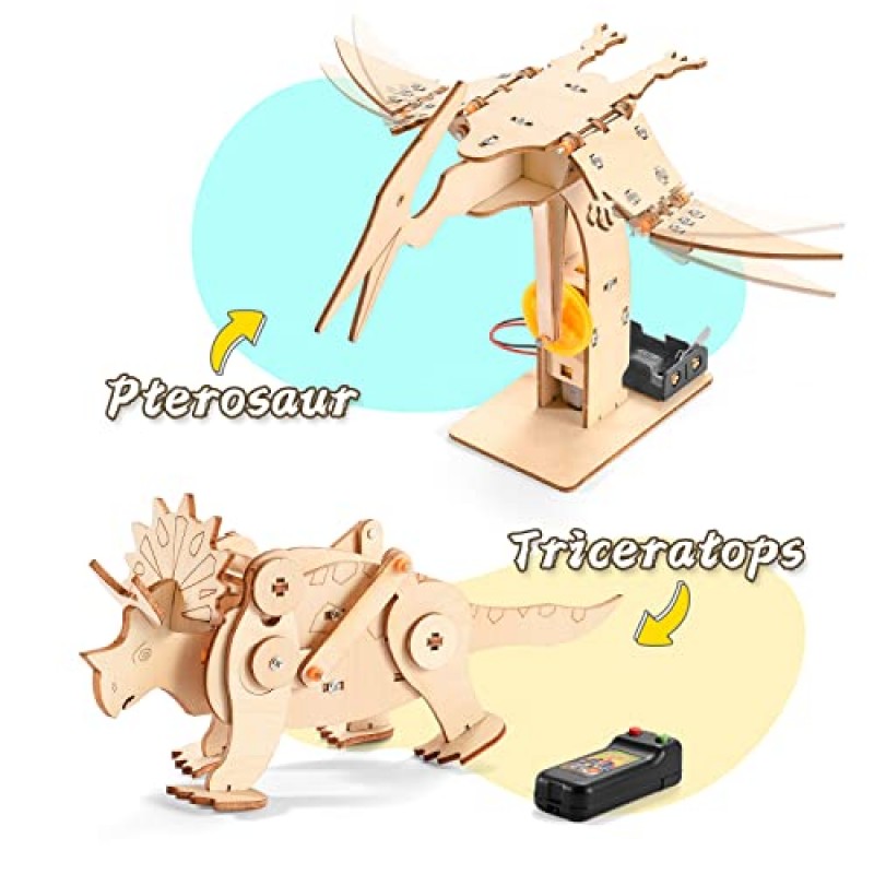 6-8-10-12세 어린이를 위한 공룡 줄기 키트, 4 in 1 줄기 프로젝트, 8-12세 소년을 위한 목재 건축 장난감, 스스로 만들기 목공 키트, DIY 3D 나무 퍼즐 모델 로봇 키트, 소녀용 공예 키트