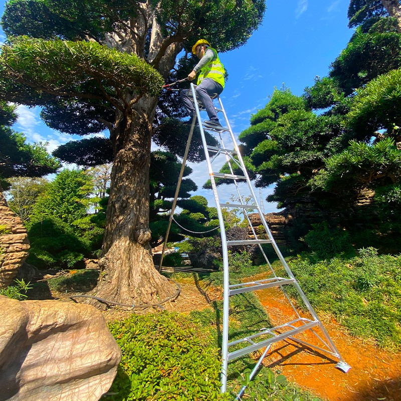 등산 사다리 알루미늄 합금 녹화 정원 사다리 원예 삼각형 지원 리프팅 작업 단면 헤링본 안전 접이식 사다리