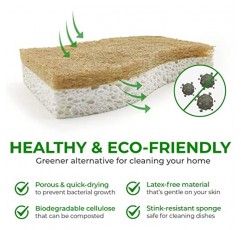AIRNEX 천연 주방 스폰지 - 생분해성 퇴비화 가능 셀룰로오스 및 코코넛 수세미 스폰지 - 친환경 식기용 스폰지 12개 팩