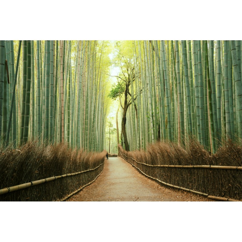 Umiboo 대나무 서랍용 지퍼락 가방 정리함, 지퍼락 가방 정리함, 지퍼락 가방 정리함, 수납 가방 정리함, 주방 서랍용 샌드위치 가방 정리함, 비닐봉지 정리함