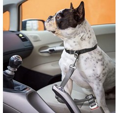 탄성 번지 버퍼가 있는 개용 안전 벨트 | 개를 위한 자동차 여행 액세서리 조절 가능, 탄성(회색)