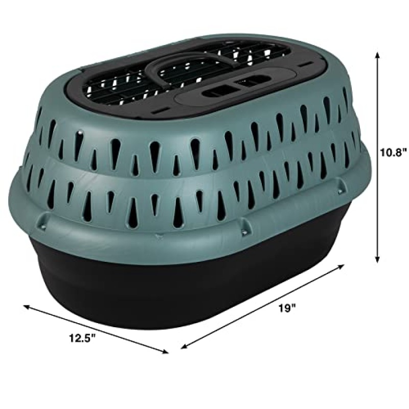 Petmate 최대 10파운드의 애완동물을 위한 2도어 또는 상단 적재 애완동물 개집 캐리어, 녹색, 길이 19인치